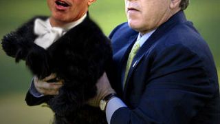 Πρωκτυπουργός μουνόσκυλο του Μπους(τη). (από Hank, 03/02/09)