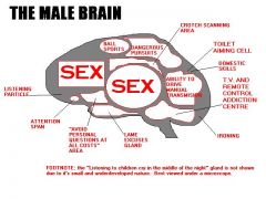 Μπλοκ διάγραμμα αντρικού εγκέφαλου (από GATZMAN, 23/03/09)