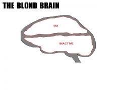 Κλείνουμε με το μπλόκ διάγραμμα του εγκέφαλου της ξανθιάς. Ειδική κατηγορία (από GATZMAN, 23/03/09)